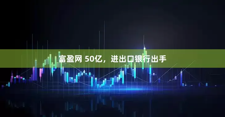 富盈网 50亿，进出口银行出手
